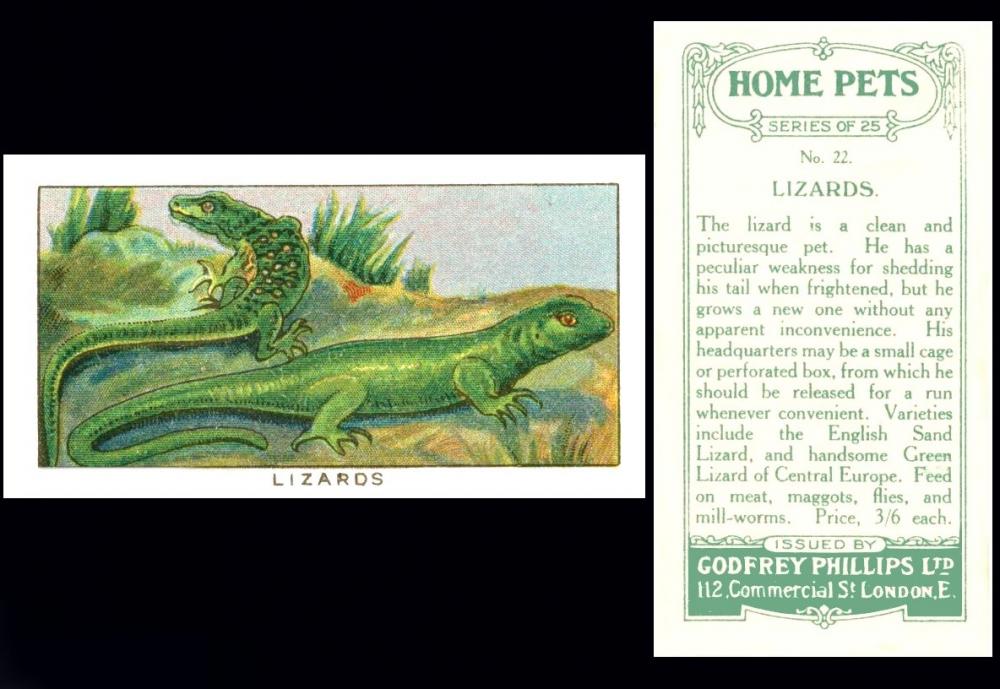 Godfrey Phillips "Home Pets"