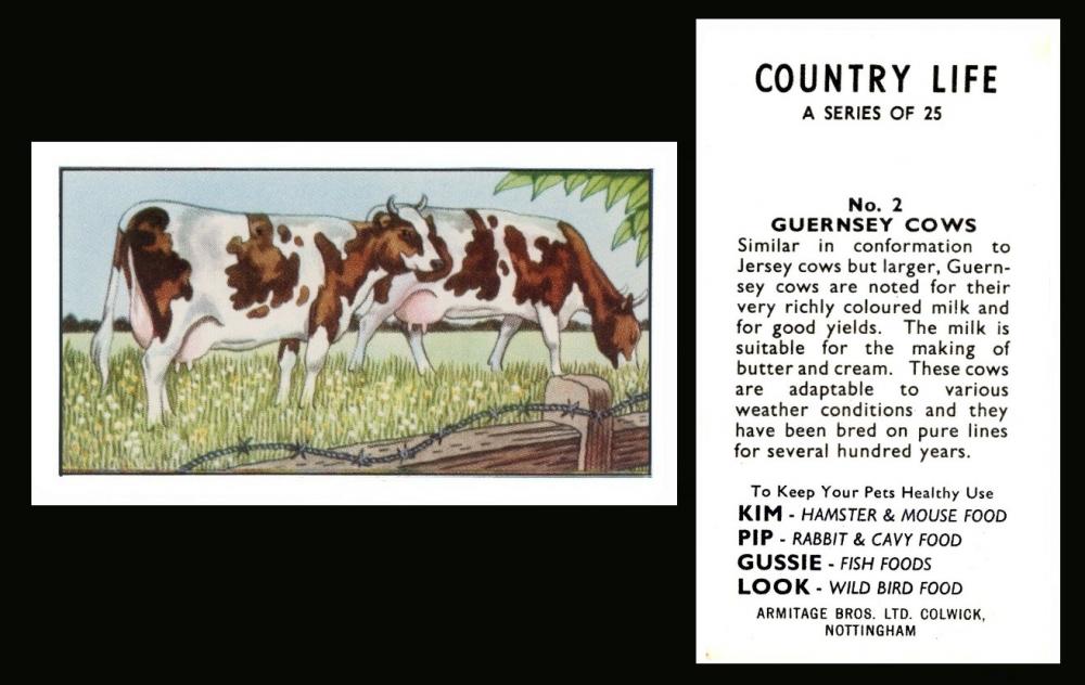 Armitage Country Life