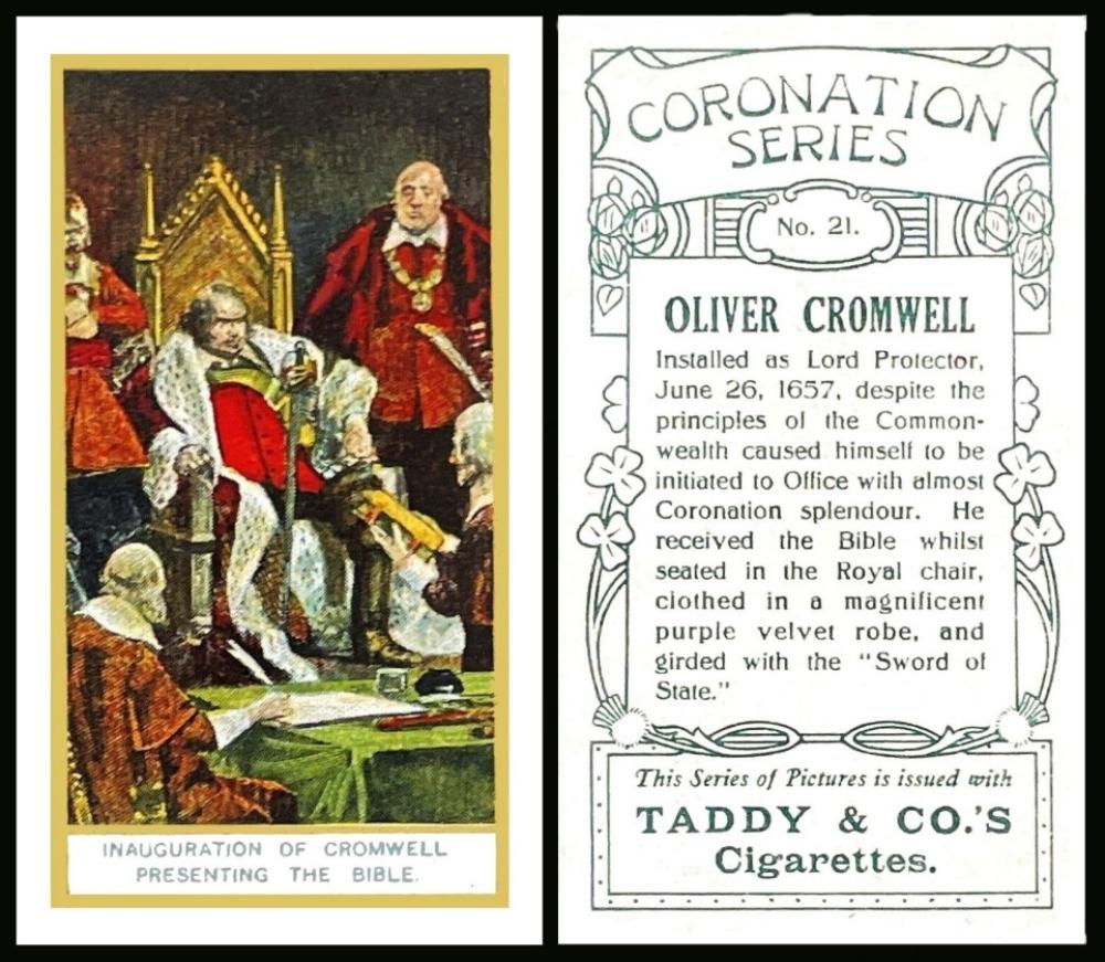 taddy coronation series