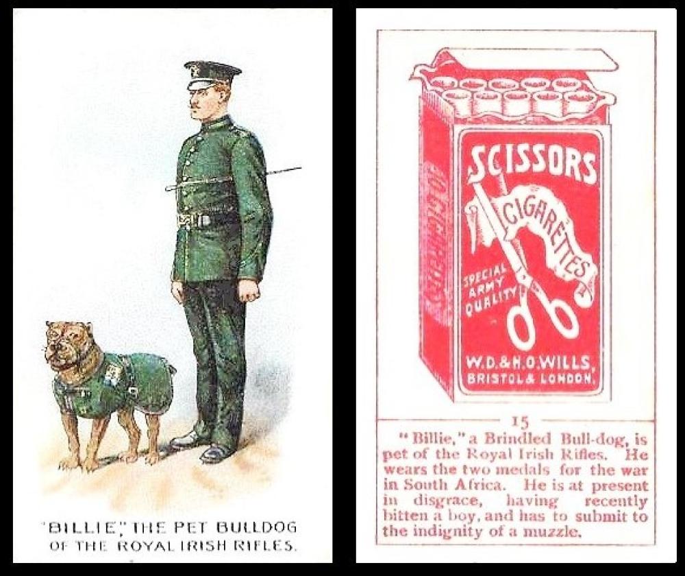 Wills Scissors regimental pets