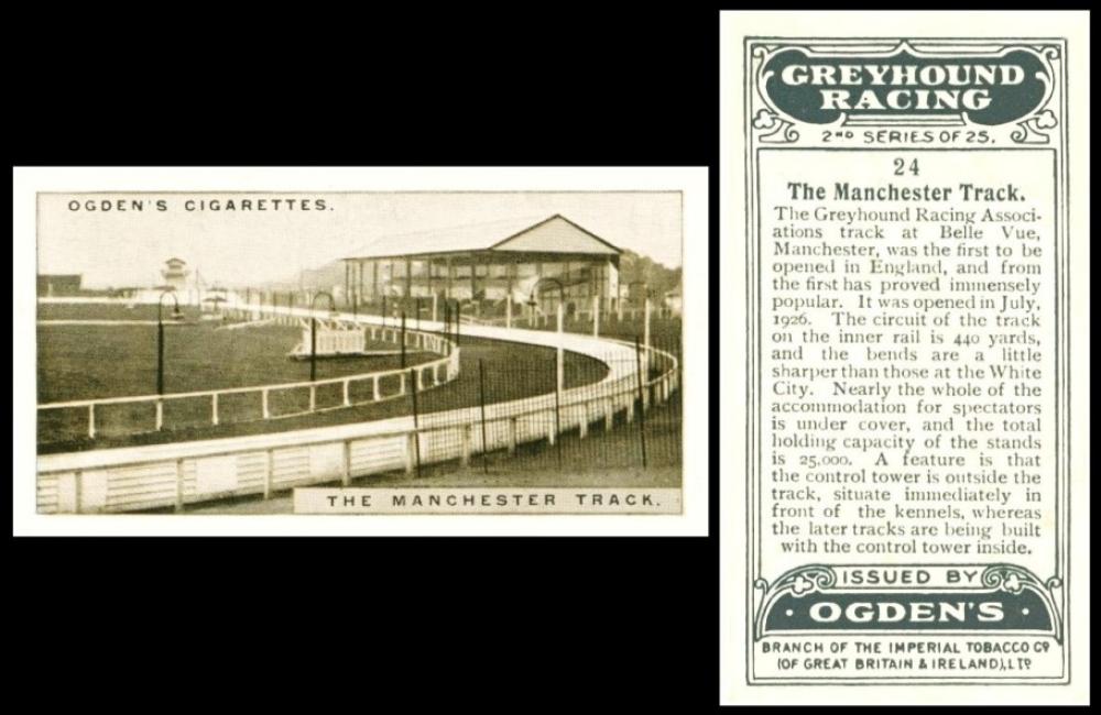 Ogdens Greyhound Racing 2