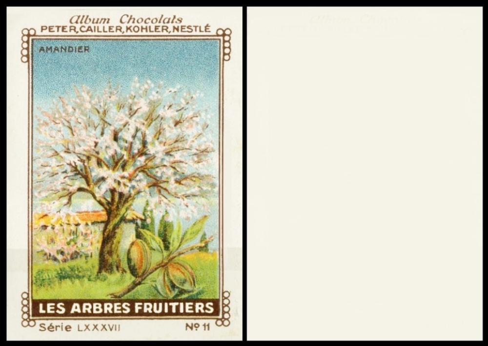 Cailler Fruit Trees