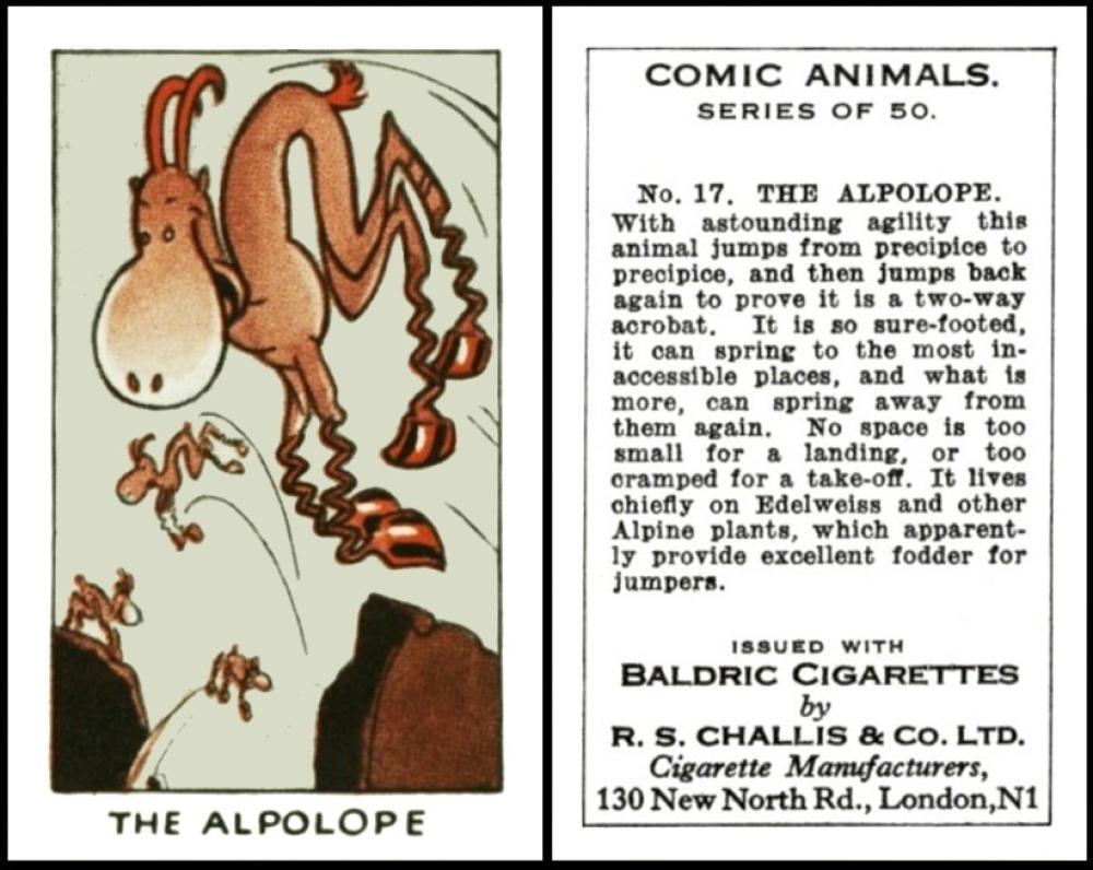 Challis Comic Animals