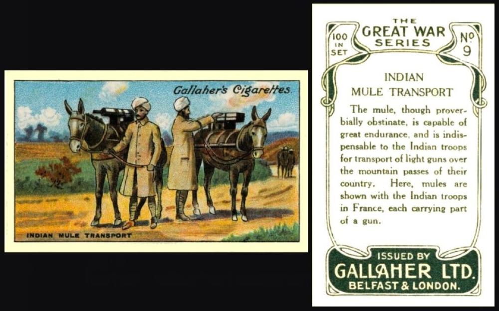 Gallaher Great War