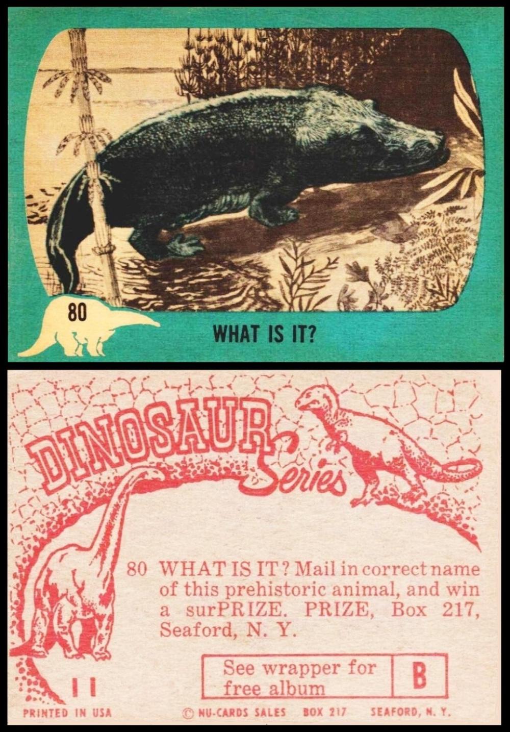 NuCards Dinosaurs