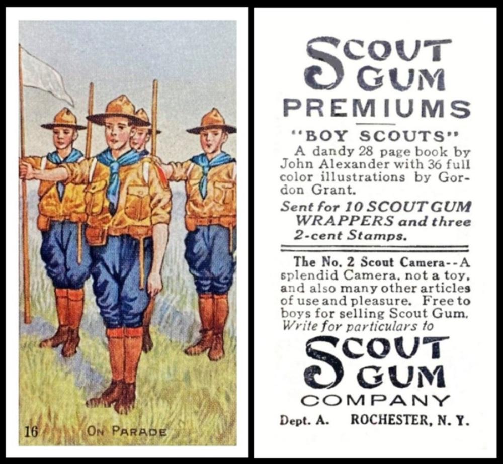 Scout Gum