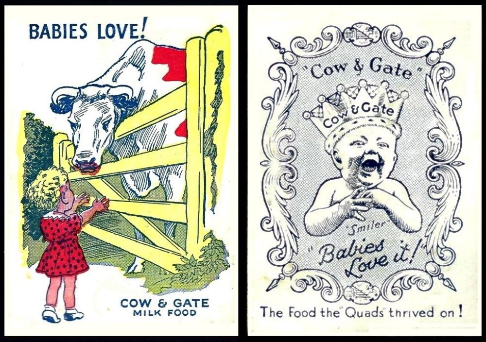 cow and gate advertisement card