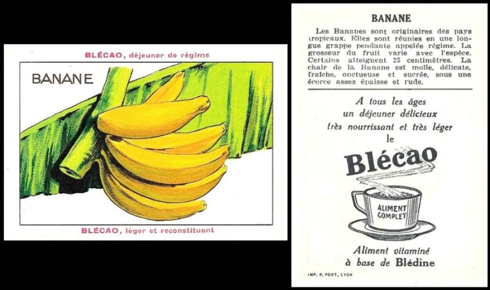 Blecao fruit