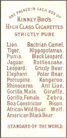 Card listing on reverse of Kinney's 'Animals' cards.