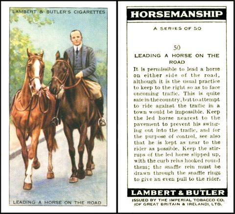 Lambert & Butler Horsemanship