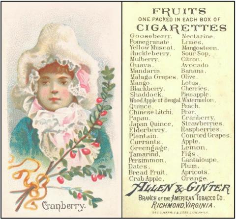 A400-120 : USA/12 [tobacco : USA] Allen & Ginter “Fruits” (1910) Bk/50 - Cranberry