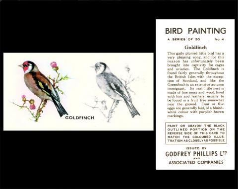 P521-418 [tobacco : UK] Godfrey Phillips “Bird Painting”(1938) 