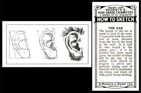 M884-450 : M142-33 [tobacco : UK]      B. Morris "How to Sketch" (1929) 29/50