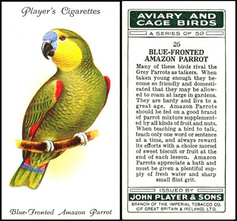 P644-140A : P72-66A : P/18A [tobacco : UK] John Player "Aviary and Cage Birds" small size cards (August 1933) 26/50