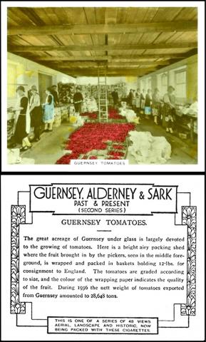 ZA08-340 : ZA8-18.2 : RB21/287 [tobacco: UK] Anonymous "Guernsey, Alderney & Sark - Past and Present" medium  (1938) Un/48