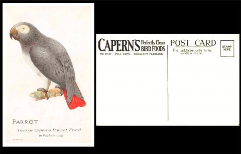 Caperns "Bird Food Postcards"