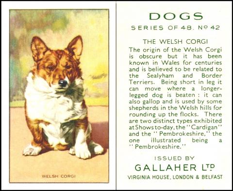   G075-580 : G12-81.1 [tobacco : UK] Gallaher "Dogs" (September 1936) 42/48