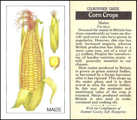 Summer County Margarine "Countryside Cards"