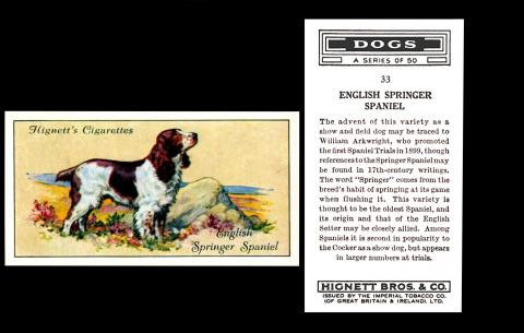 H536-450 : H44-48 : Ha.571-7 [tobacco : UK] Hignett “Dogs” (1936) 33/50