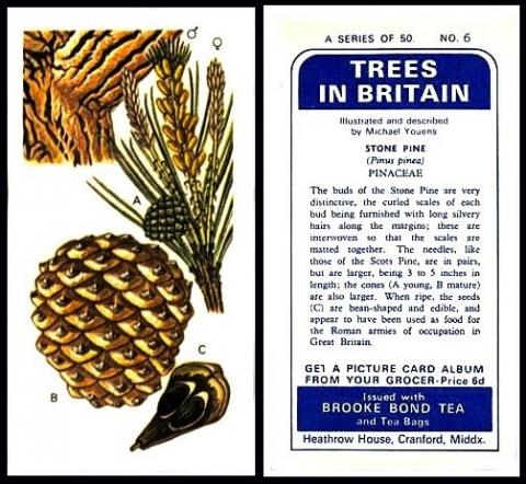 Brooke Bond "Trees in Britain"