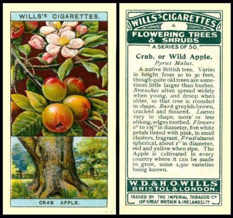 Wills "Flowering Trees & Shrubs"