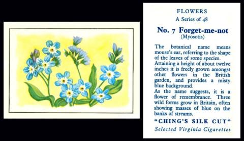 ching "Flowers"