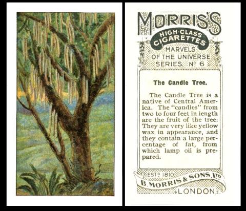 Morris "Marvels of the Universe"