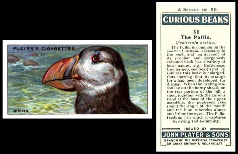 John Player "Curious Beaks"