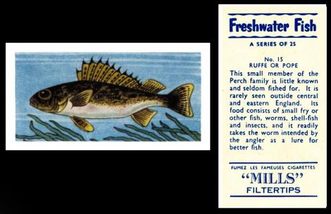 Amalgamated Tobacco Mills brand "Freshwater Fish"
