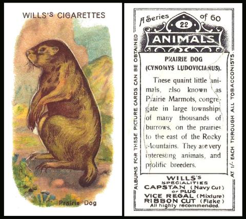 W.D. & H.O. Wills "Animals" 
