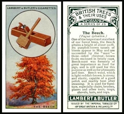 Lambert Butler British Trees