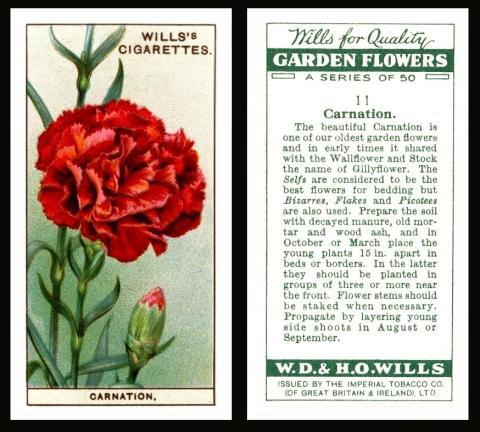 WillsGarden Flowers 1933