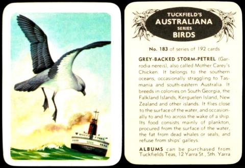 Tuckfields Australiana - Birds