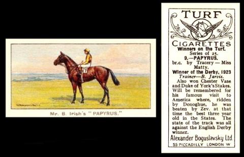 Boguslavsky Winners on the Turf