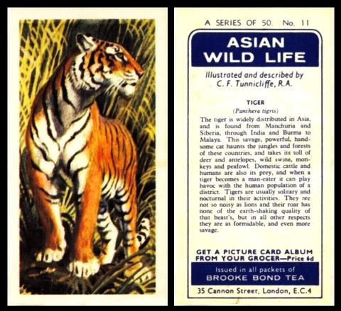 Brooke Bond Asian Wildlife