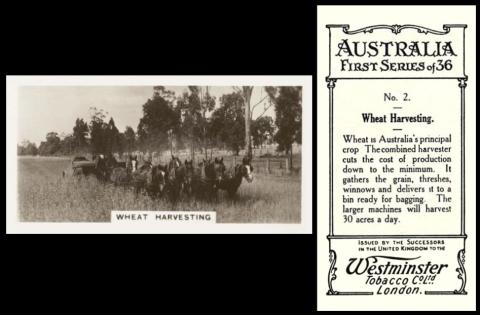 Westminster Australia 1st