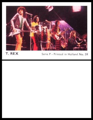Dutch Gum Film & Music P series