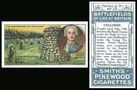 Smith Battlefields Pine