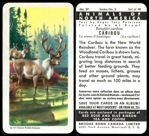 Brooke Bond Canada Animals North America