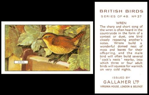 Gallaher british birds