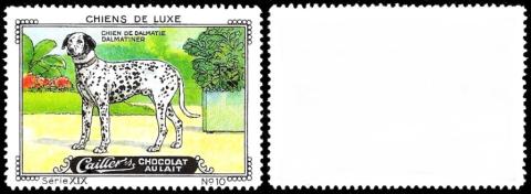 Cailler Chiens de luxe