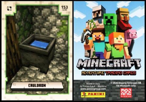 Panini Minecraft Adventure