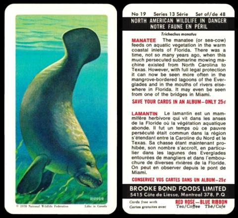 Brooke Bond Canada N Am Wildlife in Danger