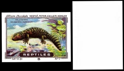 Cailler reptiles