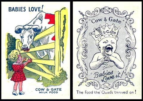 cow and gate advertisement card