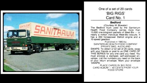 Sanitarium Big Rigs 1st