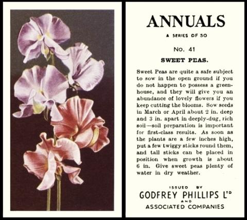 Godfrey Phillips Annuals