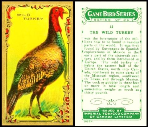 ITC Game Birds Series