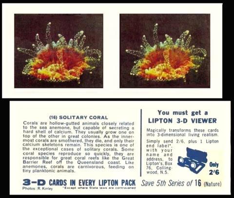 Liptons 3D Nature