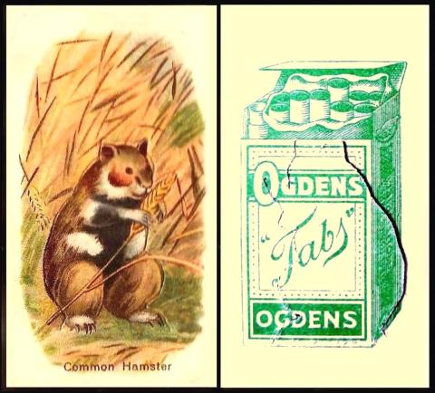 Ogdens Tabs Animals